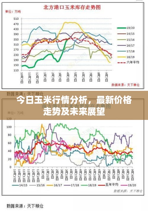 今日玉米行情分析，最新價格走勢及未來展望