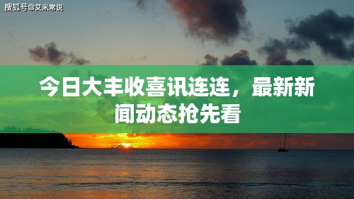 今日大豐收喜訊連連，最新新聞動態(tài)搶先看