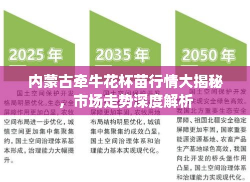 內(nèi)蒙古牽?；ū缧星榇蠼颐?，市場走勢深度解析