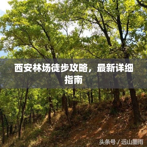 西安林場(chǎng)徒步攻略，最新詳細(xì)指南