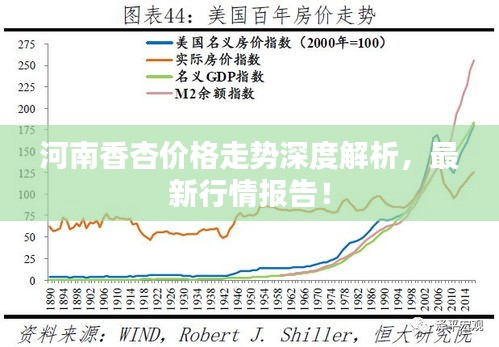 河南香杏價(jià)格走勢深度解析，最新行情報(bào)告！