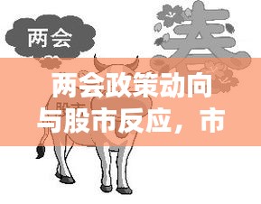 兩會(huì)政策動(dòng)向與股市反應(yīng)，市場(chǎng)走勢(shì)揭秘，投資機(jī)會(huì)前瞻