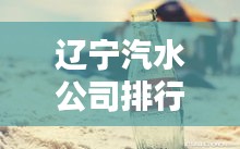 遼寧汽水公司排行榜揭曉，誰(shuí)領(lǐng)風(fēng)騷？