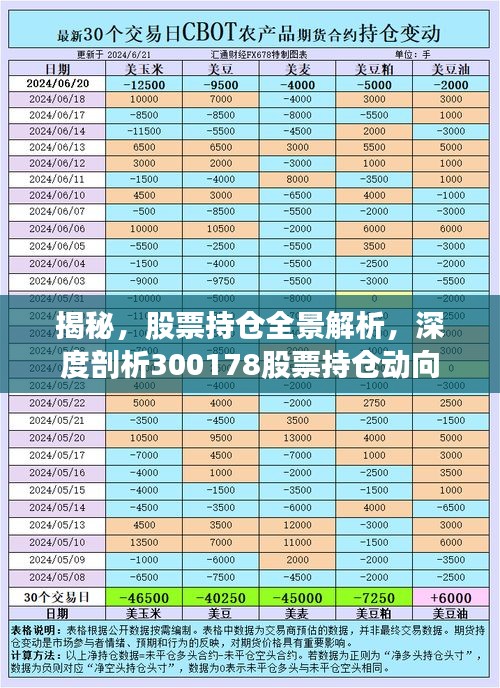 揭秘，股票持倉全景解析，深度剖析300178股票持倉動向