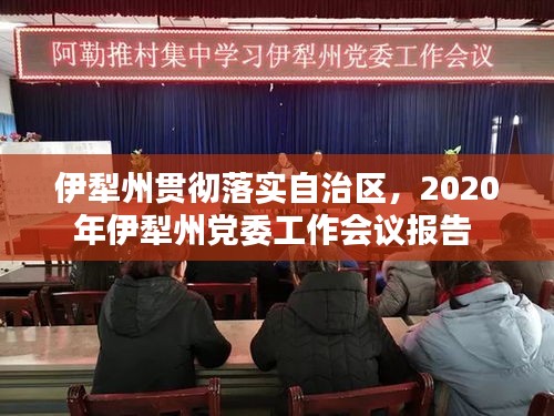 伊犁州貫徹落實自治區(qū)，2020年伊犁州黨委工作會議報告 