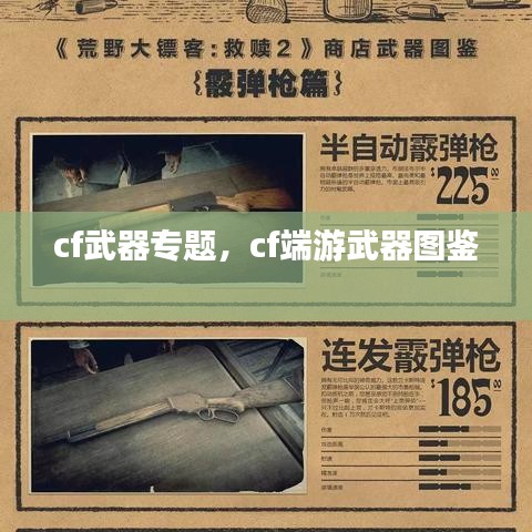 cf武器專題，cf端游武器圖鑒 