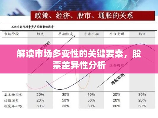 解讀市場多變性的關(guān)鍵要素，股票差異性分析