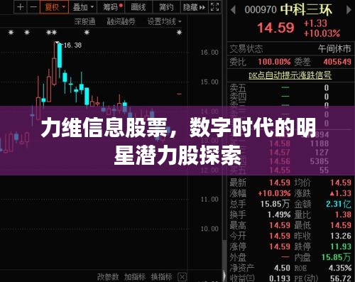 力維信息股票，數(shù)字時(shí)代的明星潛力股探索