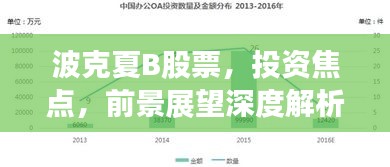波克夏B股票，投資焦點(diǎn)，前景展望深度解析