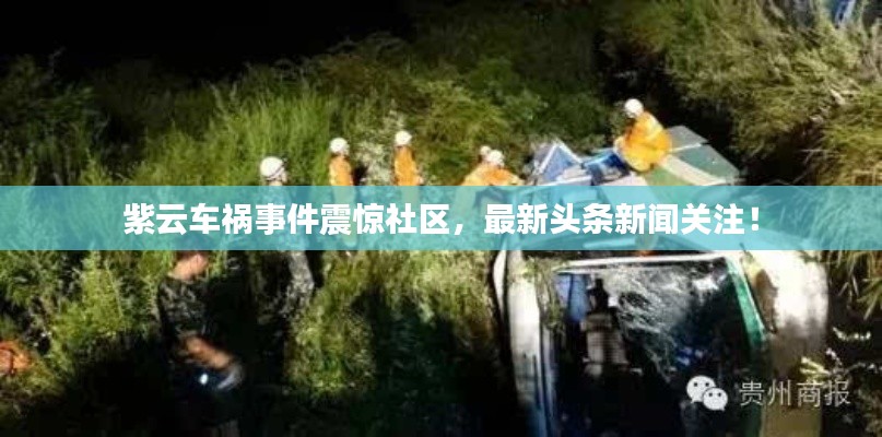 紫云車禍事件震驚社區(qū)，最新頭條新聞關(guān)注！