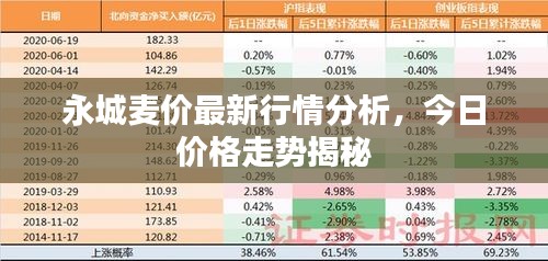 永城麥價最新行情分析，今日價格走勢揭秘