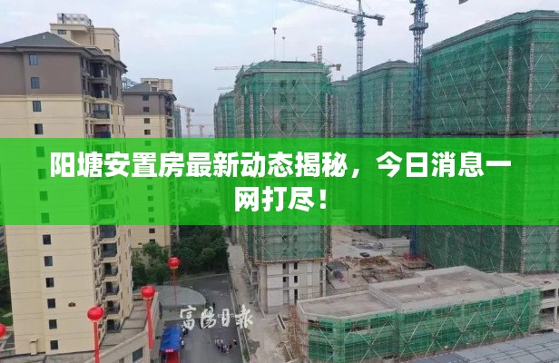 陽塘安置房最新動態(tài)揭秘，今日消息一網(wǎng)打盡！