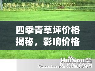 四季青草坪價格揭秘，影響價格的因素全解析