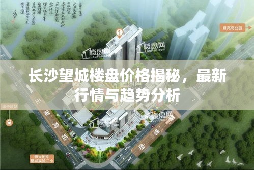 長沙望城樓盤價(jià)格揭秘，最新行情與趨勢(shì)分析