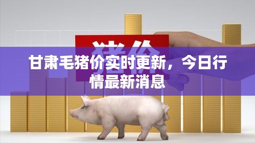 甘肅毛豬價(jià)實(shí)時(shí)更新，今日行情最新消息