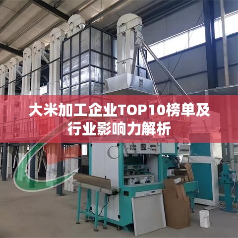 大米加工企業(yè)TOP10榜單及行業(yè)影響力解析