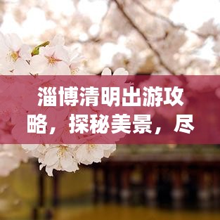 淄博清明出游攻略，探秘美景，盡享文化盛宴！