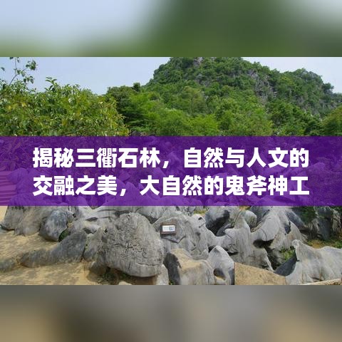 揭秘三衢石林，自然與人文的交融之美，大自然的鬼斧神工欣賞