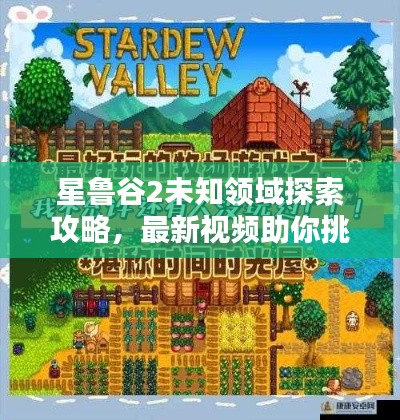 星魯谷2未知領(lǐng)域探索攻略，最新視頻助你挑戰(zhàn)極限！