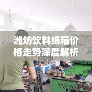 濰坊飲料紙箱價格走勢深度解析