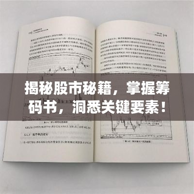 揭秘股市秘籍，掌握籌碼書(shū)，洞悉關(guān)鍵要素！