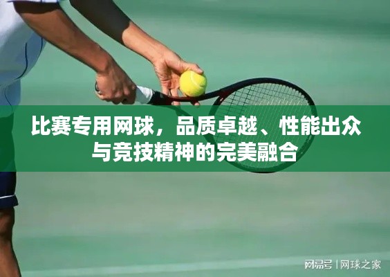 比賽專用網(wǎng)球，品質(zhì)卓越、性能出眾與競技精神的完美融合