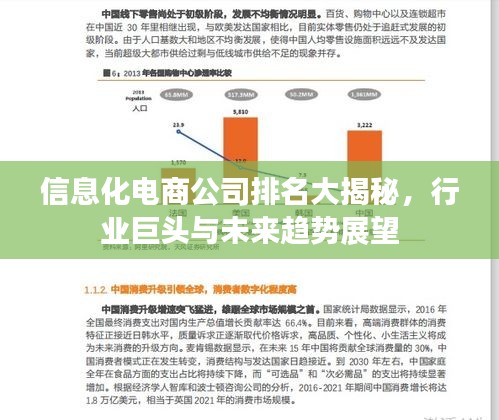 信息化電商公司排名大揭秘，行業(yè)巨頭與未來趨勢展望