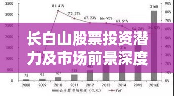 長白山股票投資潛力及市場(chǎng)前景深度解析