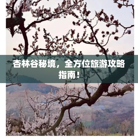 杏林谷秘境，全方位旅游攻略指南！
