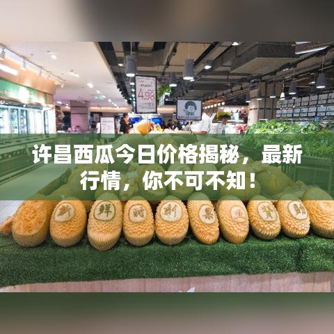 許昌西瓜今日價(jià)格揭秘，最新行情，你不可不知！