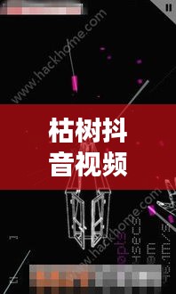 枯樹抖音視頻，探索最新版視頻世界，體驗獨特魅力