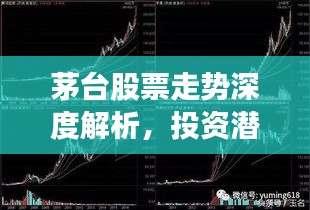 茅臺(tái)股票走勢(shì)深度解析，投資潛力與風(fēng)險(xiǎn)洞察