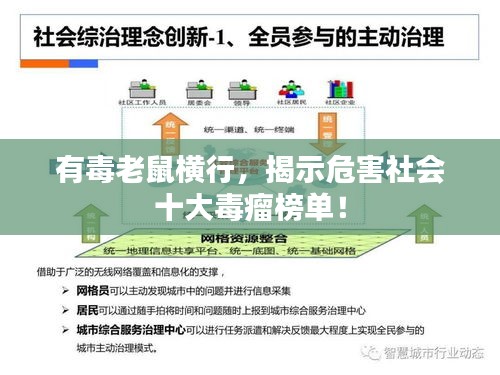 有毒老鼠橫行，揭示危害社會(huì)十大毒瘤榜單！