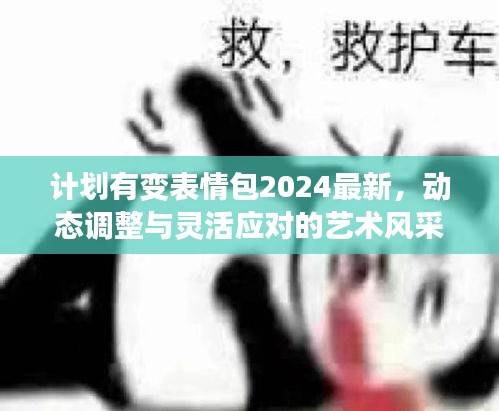 計劃有變表情包2024最新，動態(tài)調(diào)整與靈活應(yīng)對的藝術(shù)風采