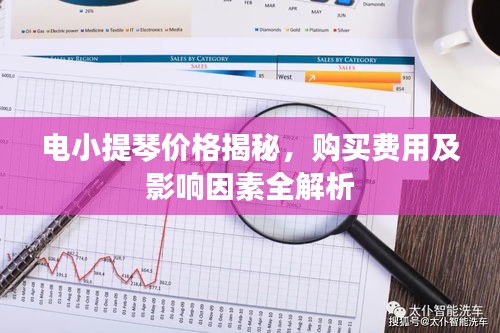電小提琴價(jià)格揭秘，購(gòu)買(mǎi)費(fèi)用及影響因素全解析