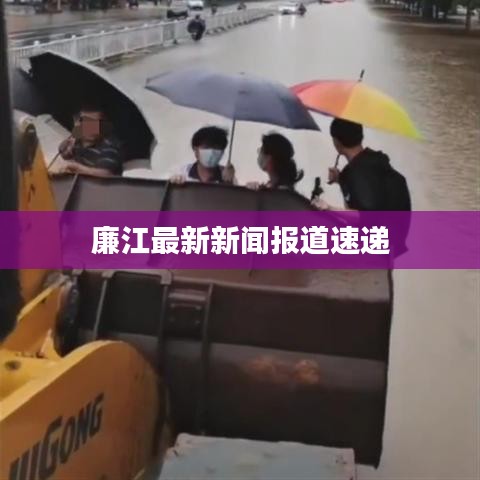 廉江最新新聞報(bào)道速遞