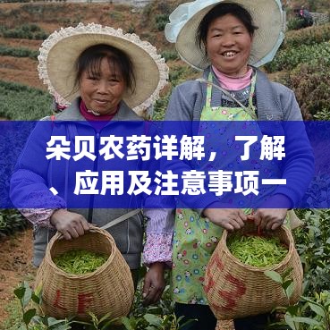 朵貝農(nóng)藥詳解，了解、應(yīng)用及注意事項(xiàng)一網(wǎng)打盡