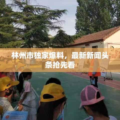 林州市獨(dú)家爆料，最新新聞?lì)^條搶先看