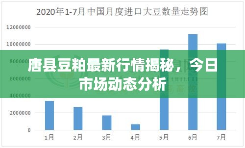 唐縣豆粕最新行情揭秘，今日市場動態(tài)分析