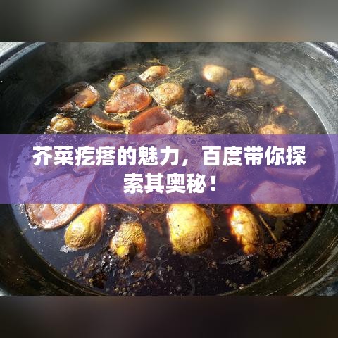 芥菜疙瘩的魅力，百度帶你探索其奧秘！