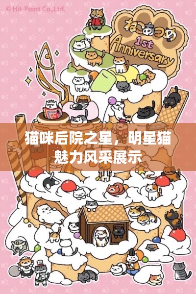 貓咪后院之星，明星貓魅力風(fēng)采展示