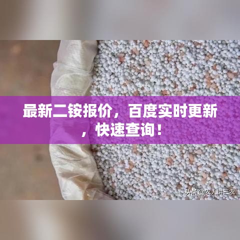 最新二銨報(bào)價(jià)，百度實(shí)時(shí)更新，快速查詢！