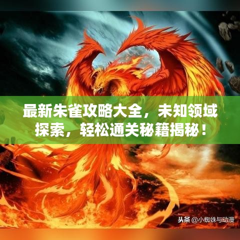 最新朱雀攻略大全，未知領(lǐng)域探索，輕松通關(guān)秘籍揭秘！