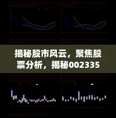 揭秘股市風云，聚焦股票分析，揭秘002335股票動態(tài)與前景展望