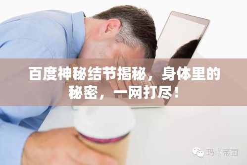 百度神秘結(jié)節(jié)揭秘，身體里的秘密，一網(wǎng)打盡！