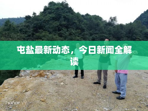 屯鹽最新動態(tài)，今日新聞全解讀