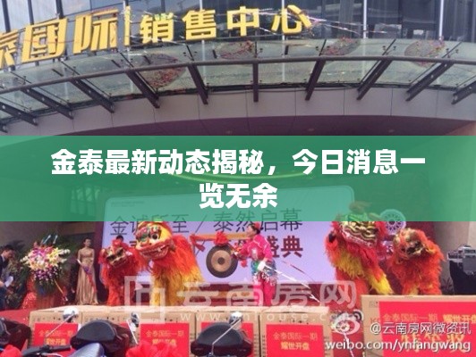 金泰最新動(dòng)態(tài)揭秘，今日消息一覽無余