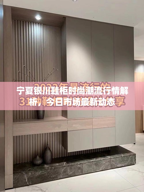 寧夏銀川鞋柜時(shí)尚潮流行情解析，今日市場最新動(dòng)態(tài)