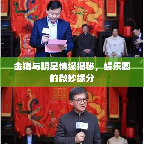 金豬與明星情緣揭秘，娛樂圈的微妙緣分
