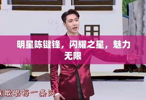 明星陳鍵鋒，閃耀之星，魅力無(wú)限
